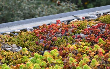 the cost of Mount Sorrel green roof installation