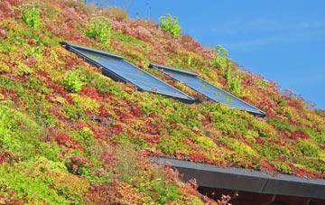 Mount Sorrel living roof systems