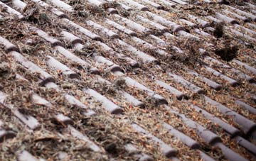 Mount Sorrel roof cleaning companies