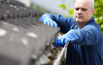cleaning and inspecting Mount Sorrel roofs