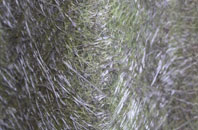 Mount Sorrel fibreglass roof work